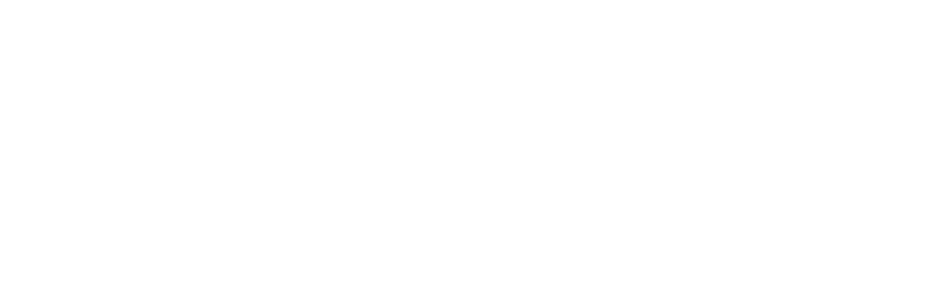 White Logo