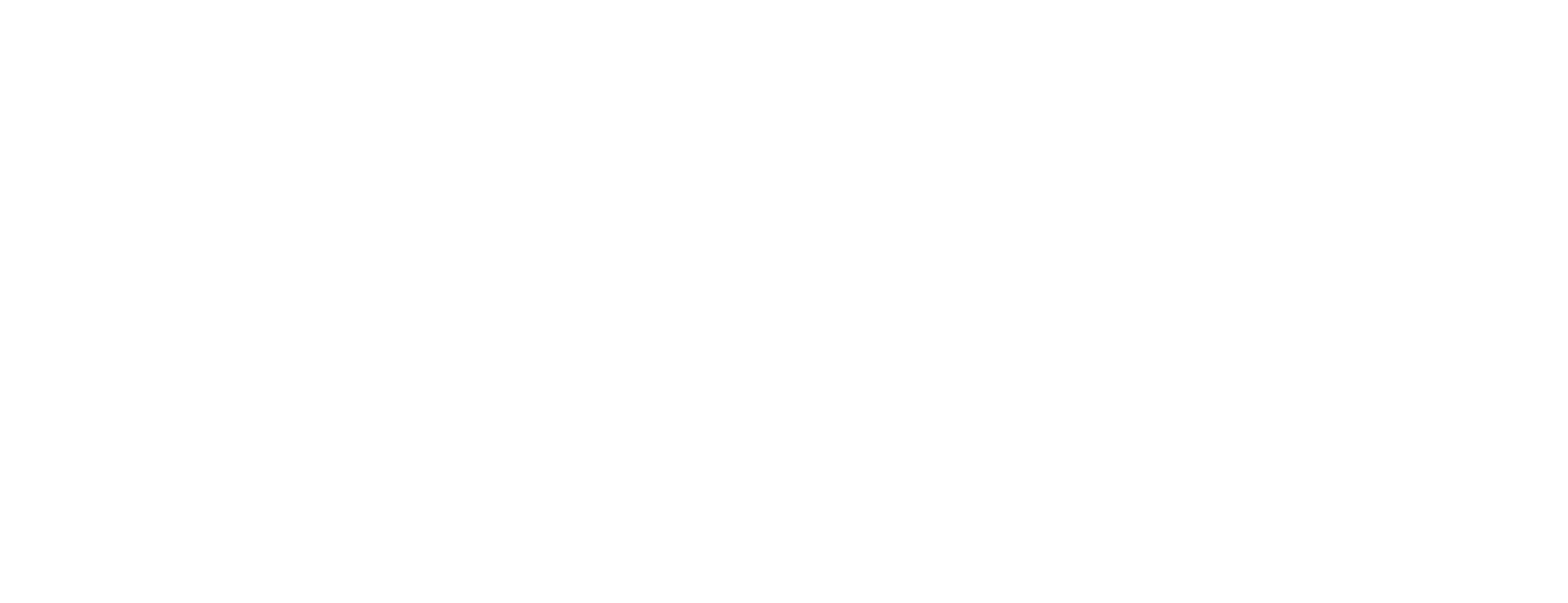 White Logo
