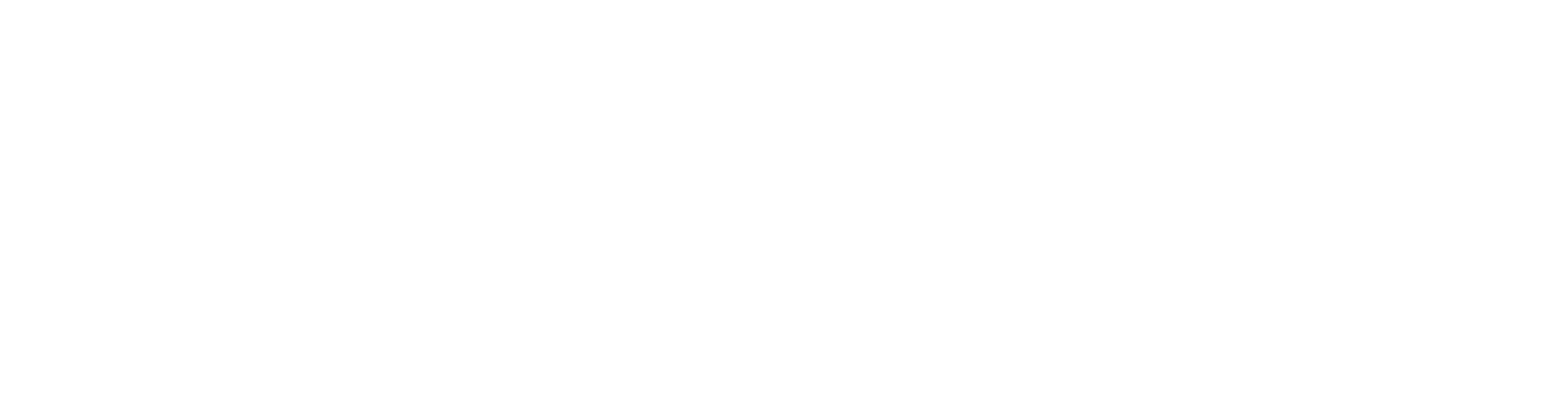 White Logo