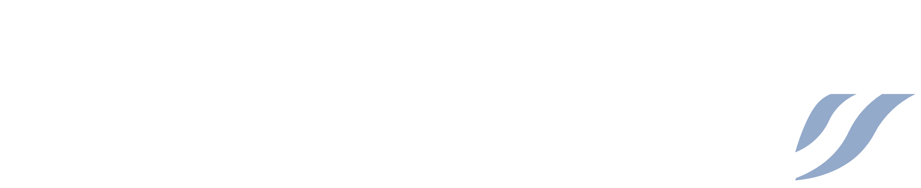 White Logo