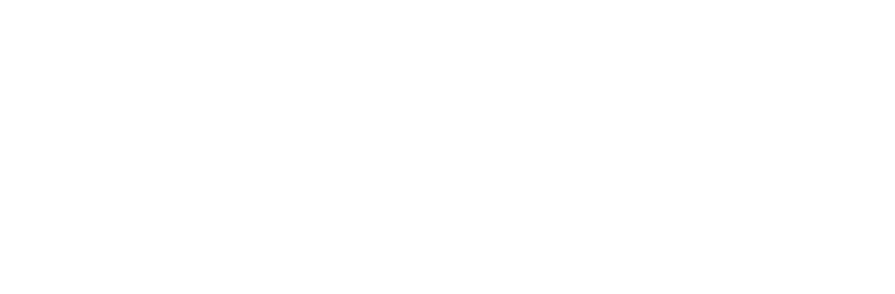 White Logo
