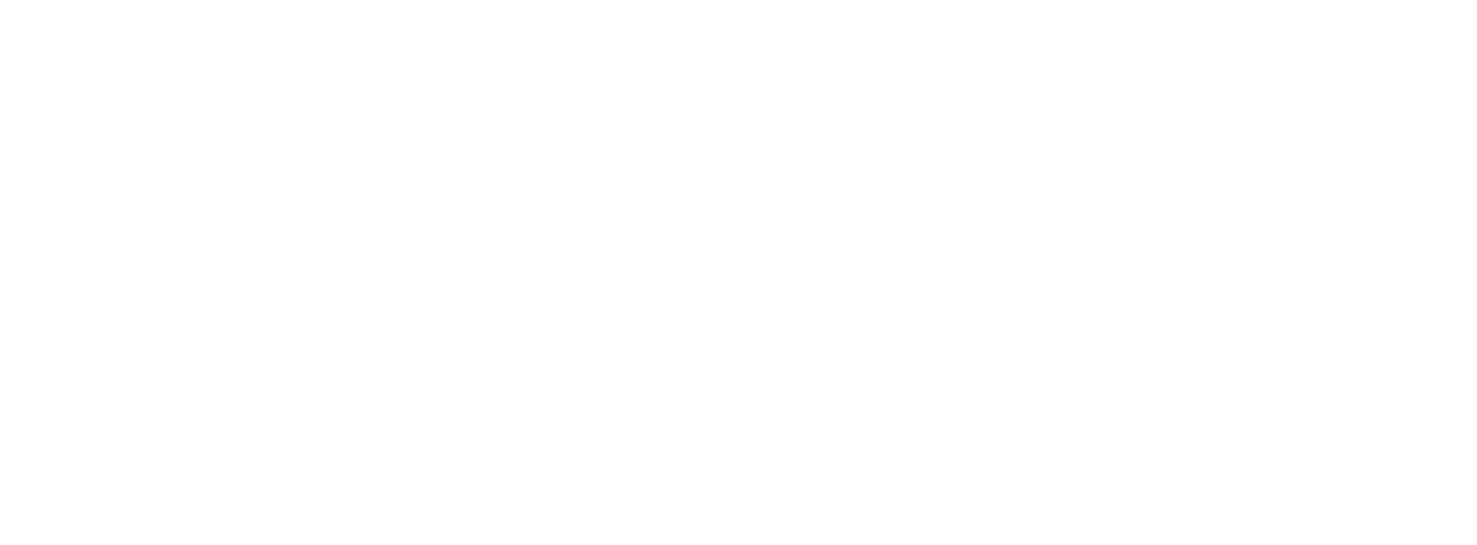 White Logo