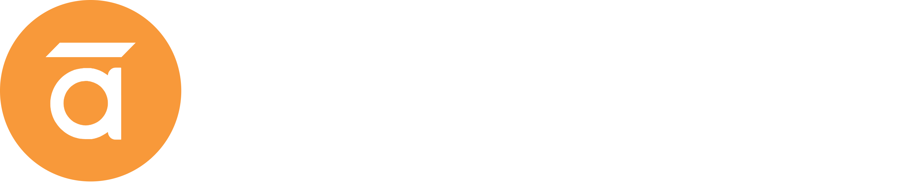 White Logo
