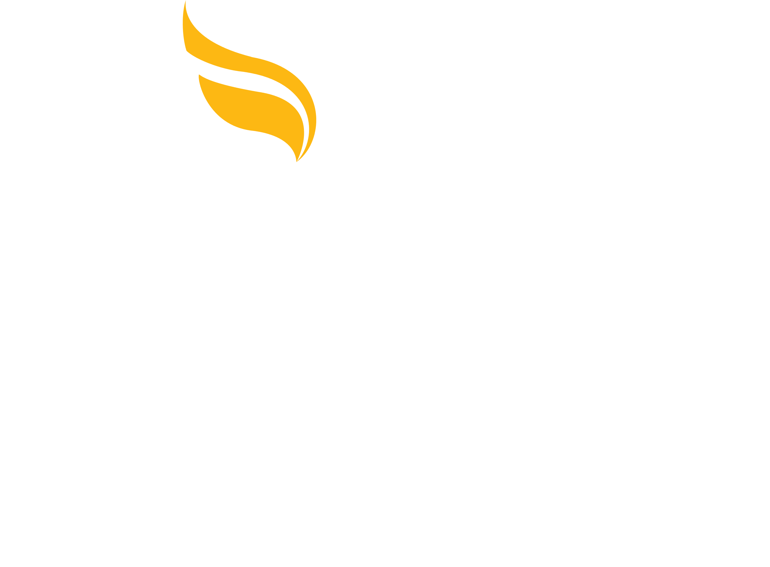 White Logo