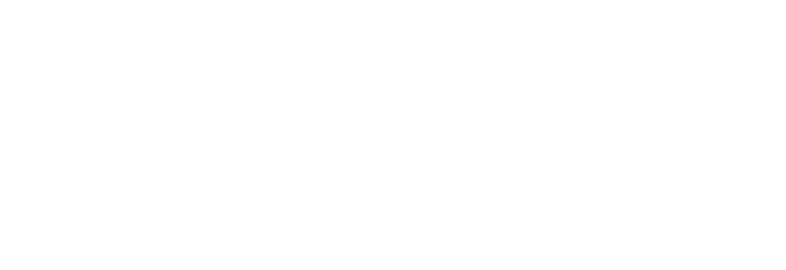 White Logo