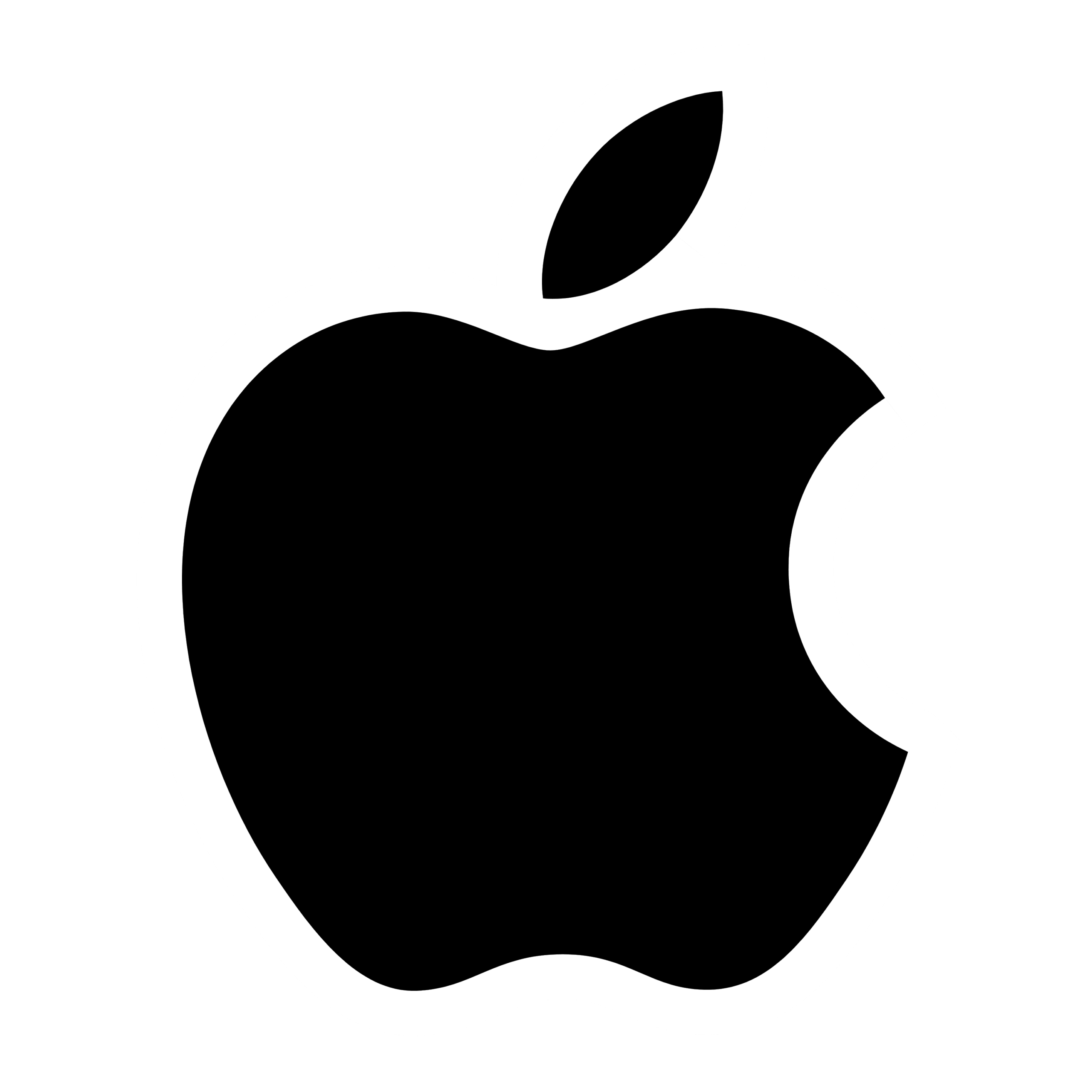 Icon with Border Logo