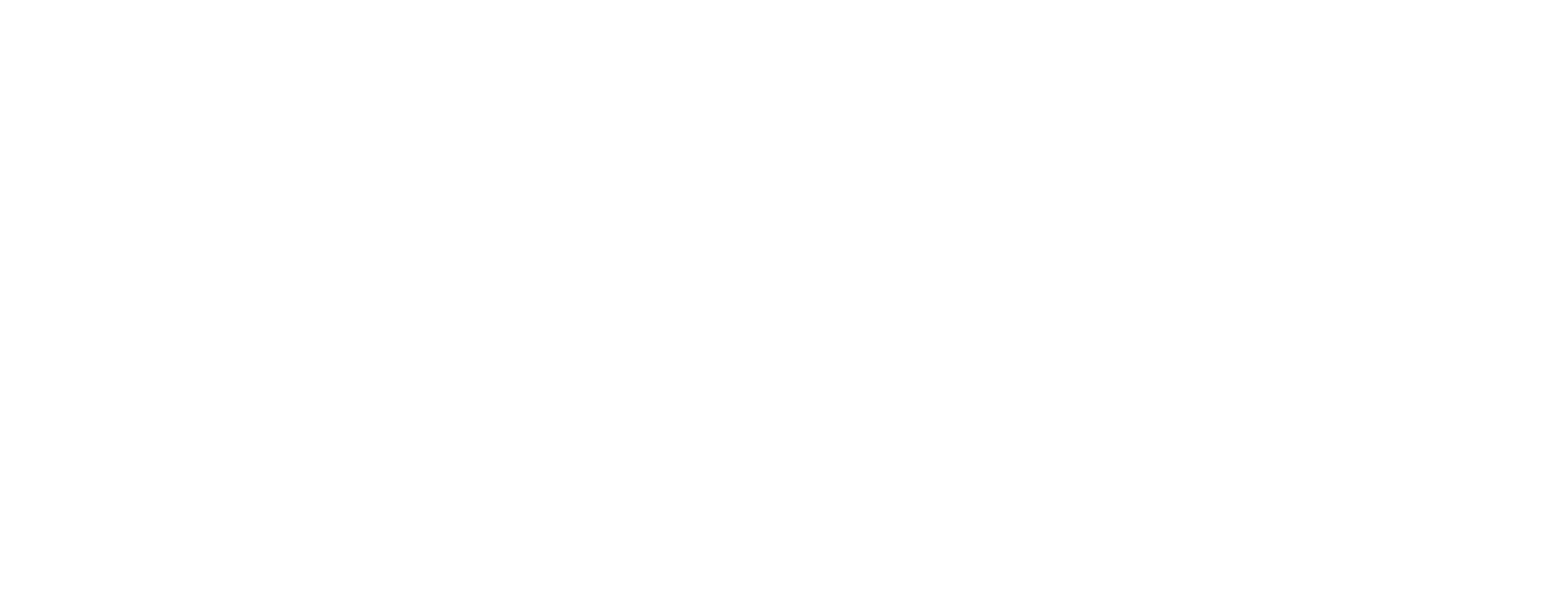 White Logo