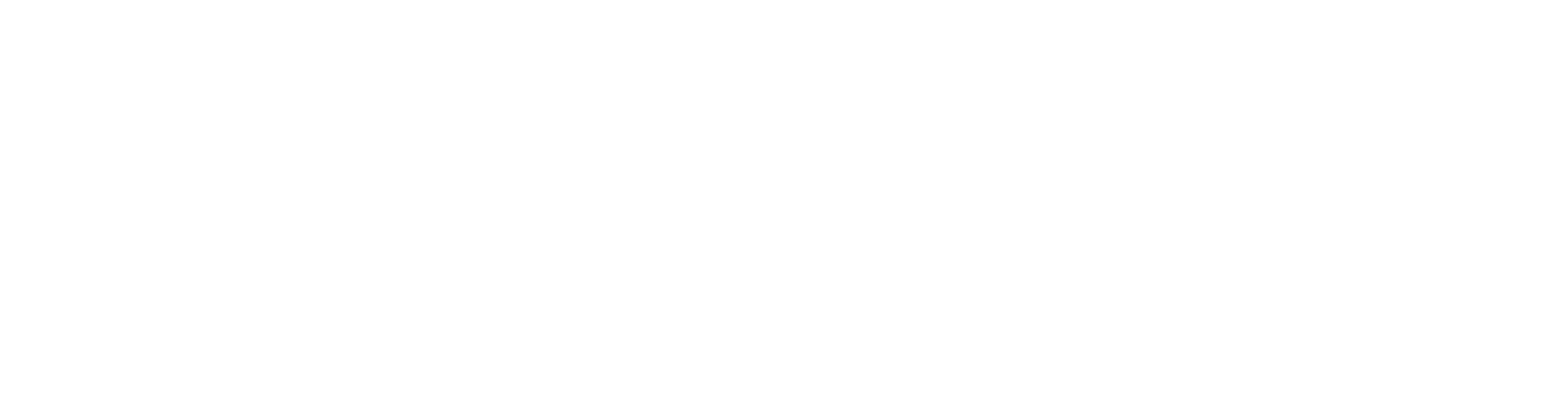 White Logo