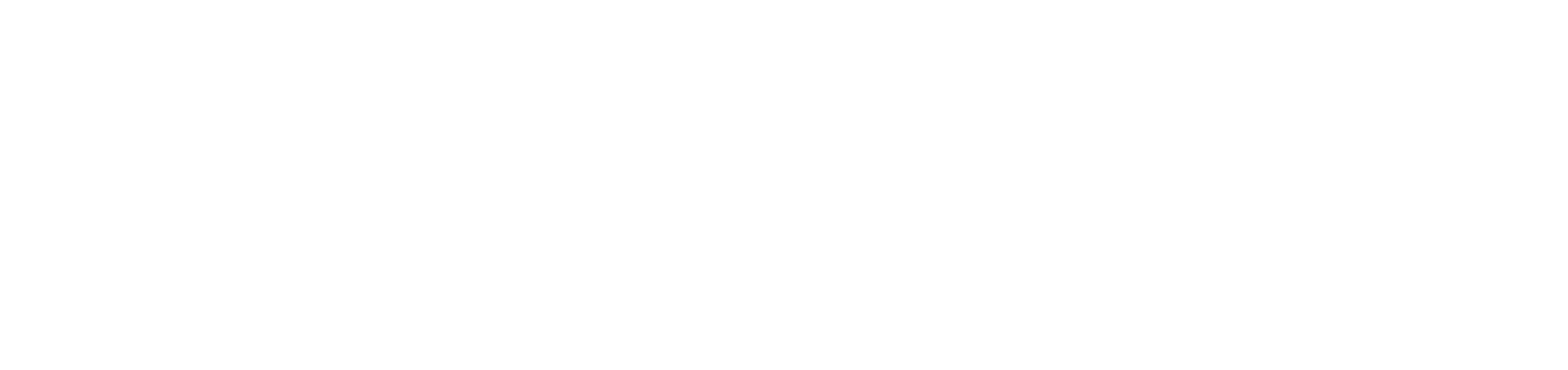 White Logo