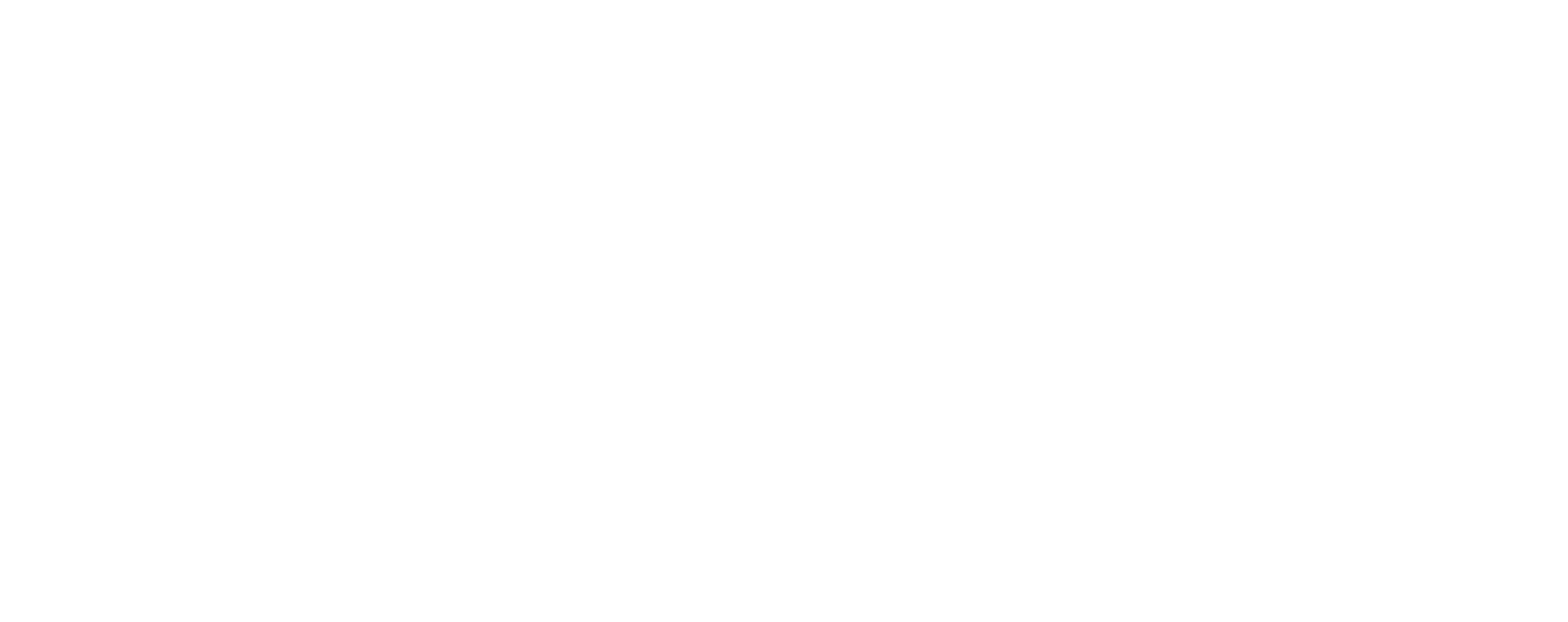 White Logo