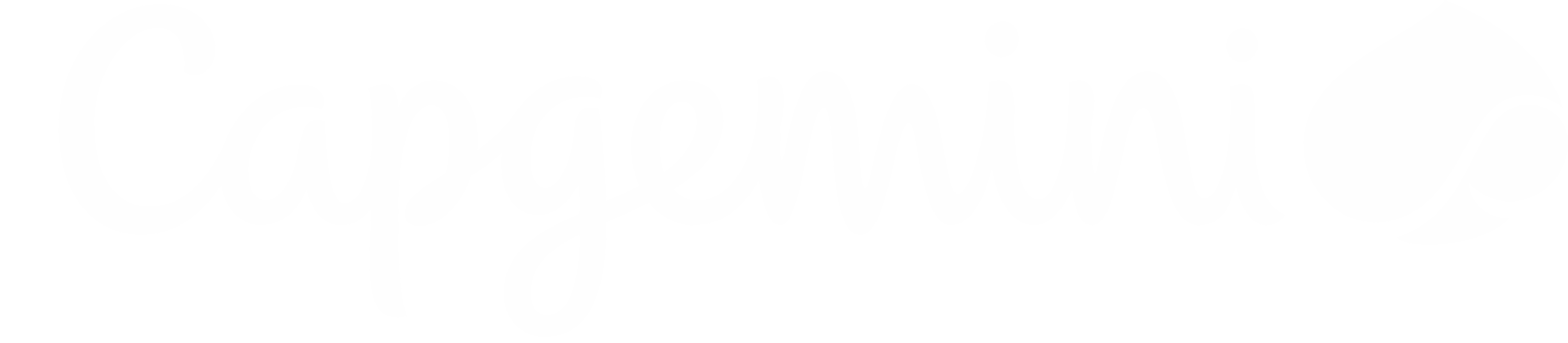 White Logo