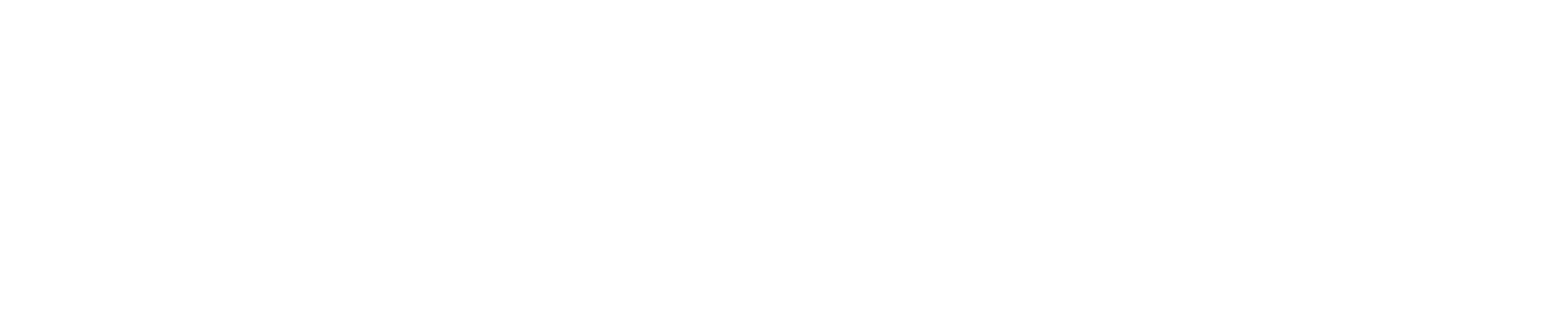 White Logo
