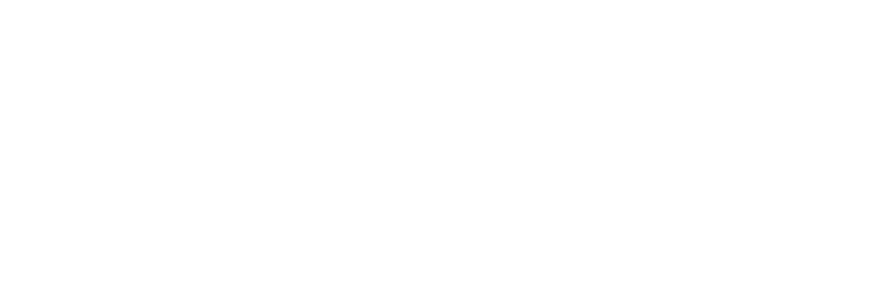 White Logo