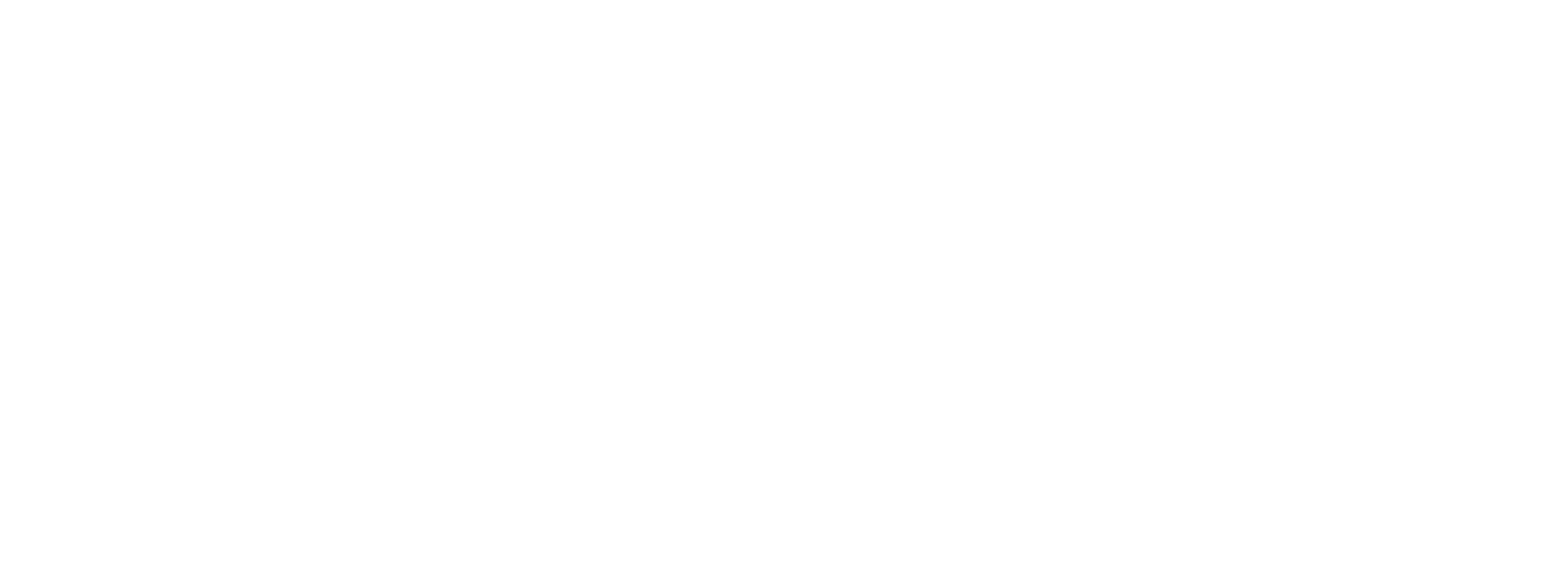 White Logo