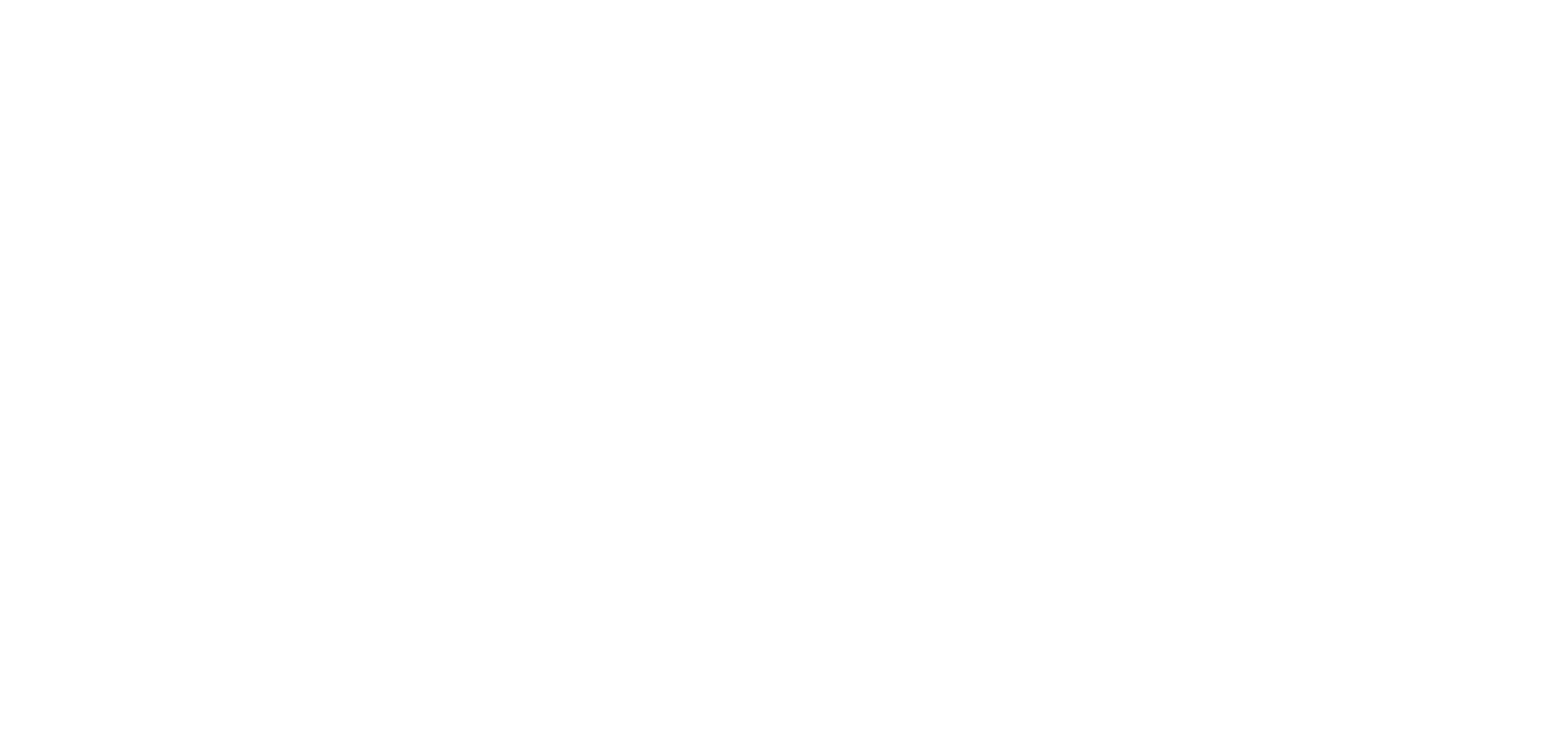 Horizontal White Logo