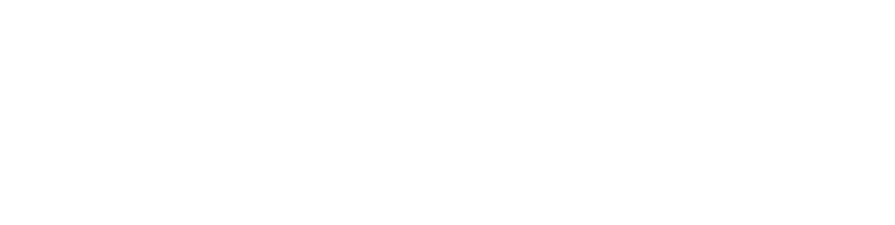 White Logo