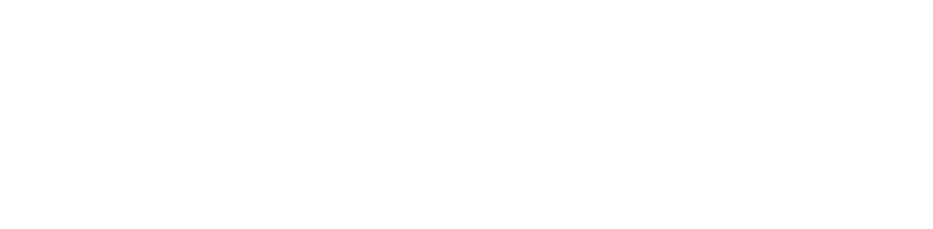 White Logo
