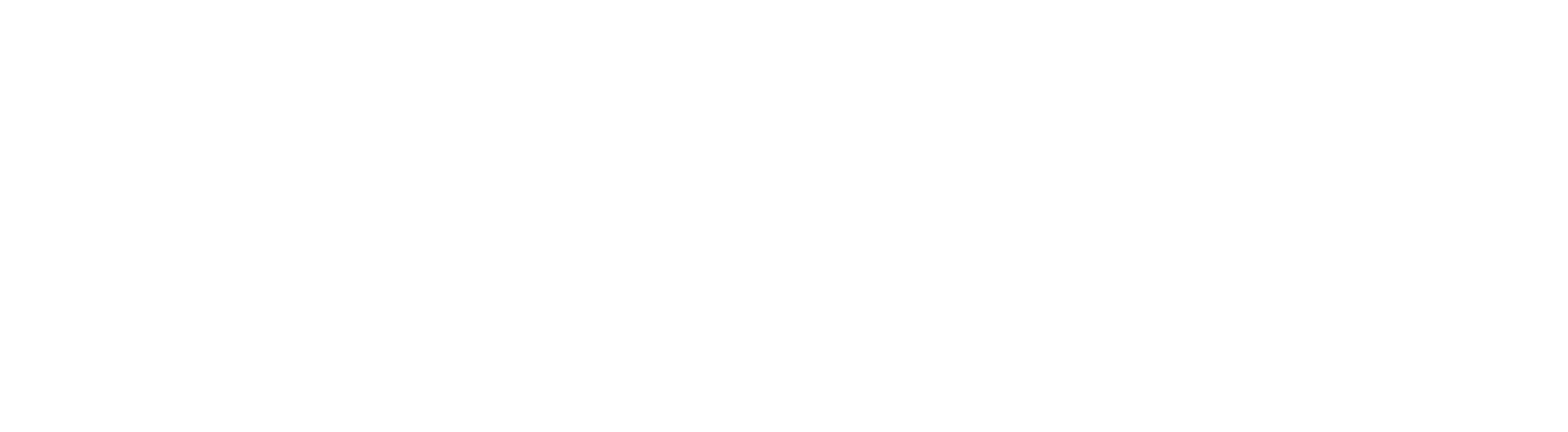 White Logo