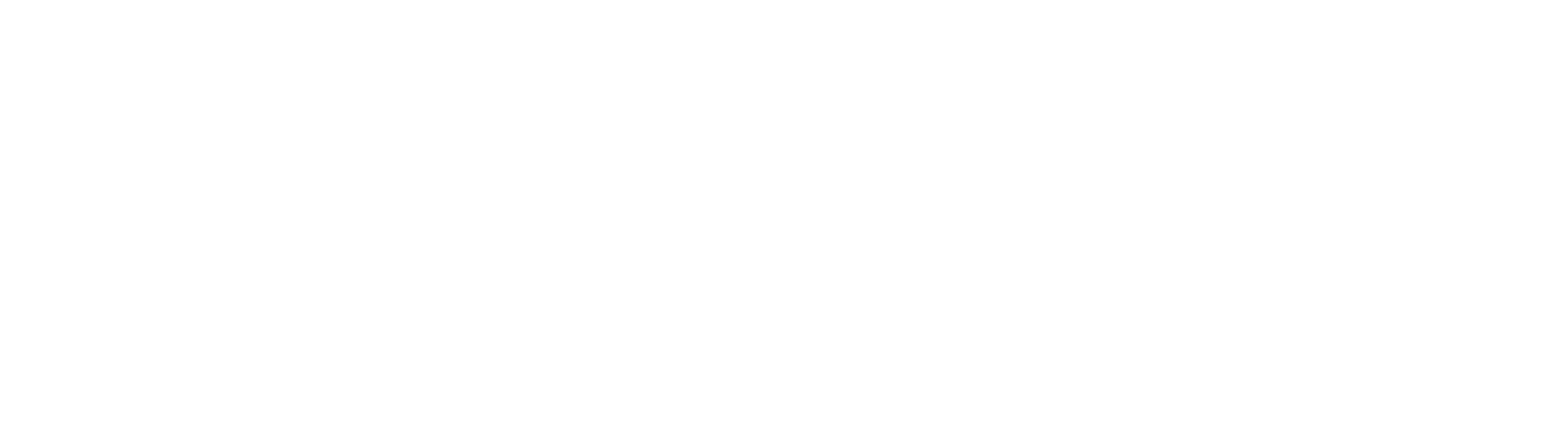 White Logo
