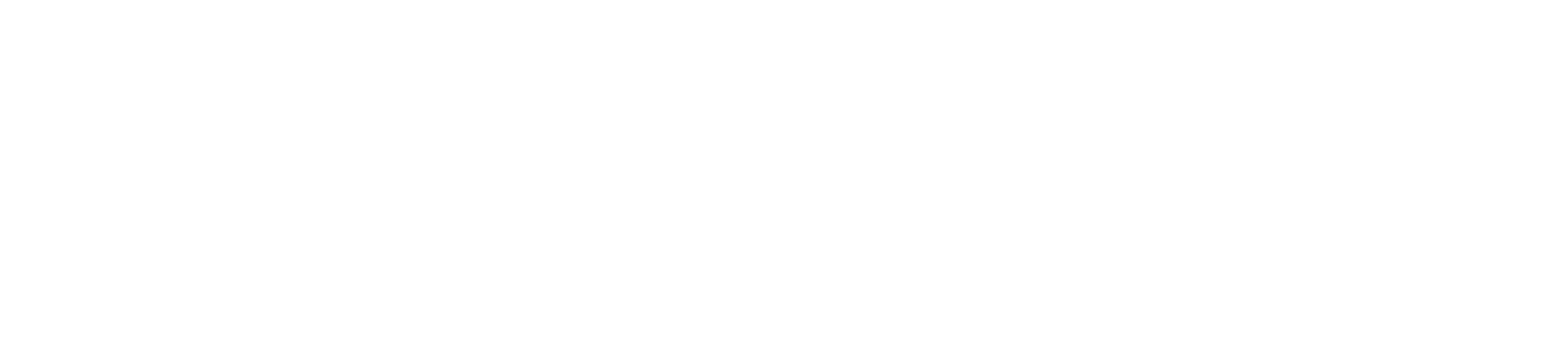 White Logo
