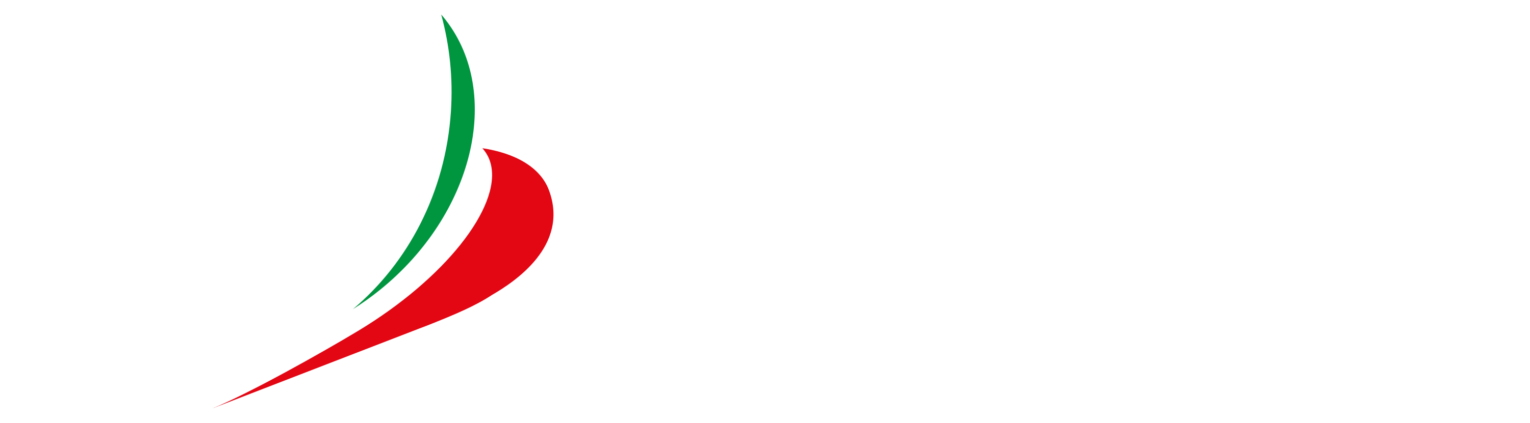 White Logo