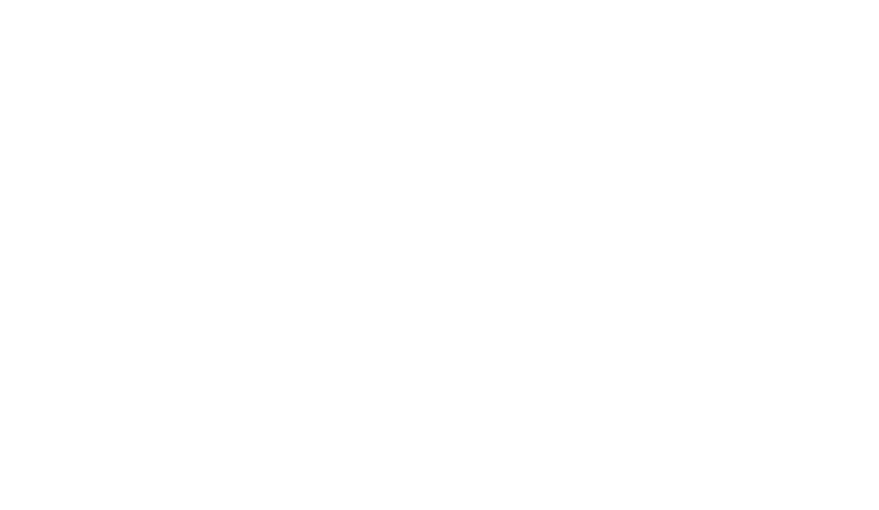 Small White Logo