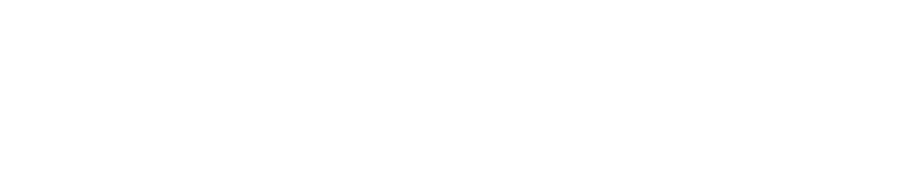 White Logo