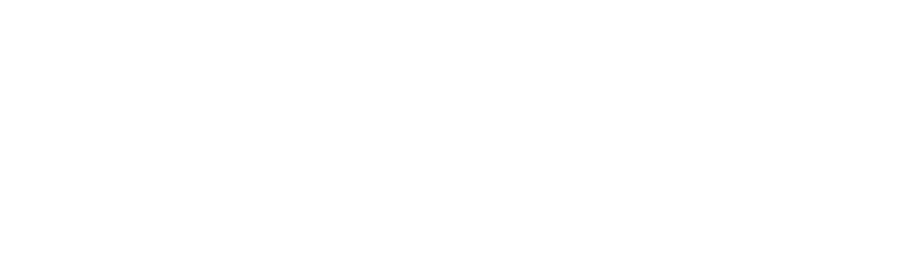 White Logo
