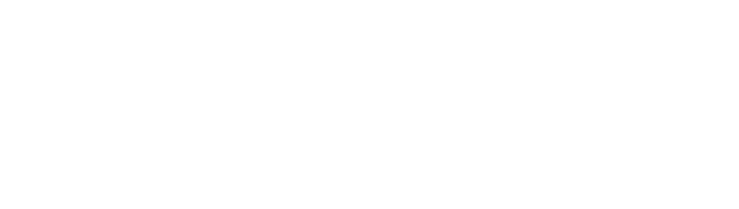 White Logo