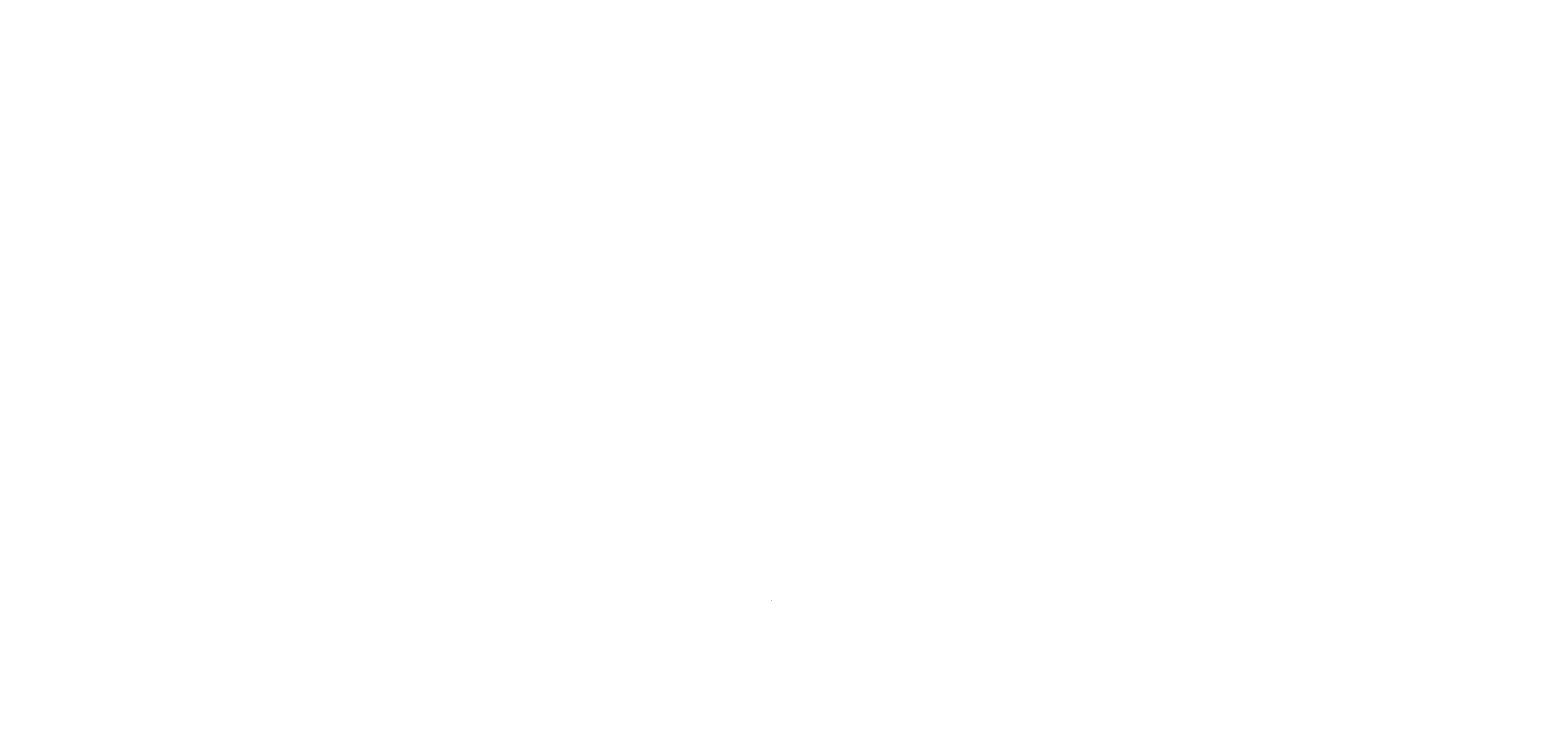 White Logo