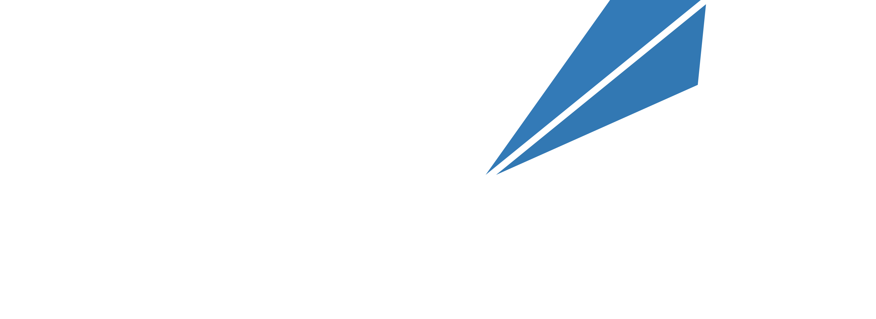 White logo