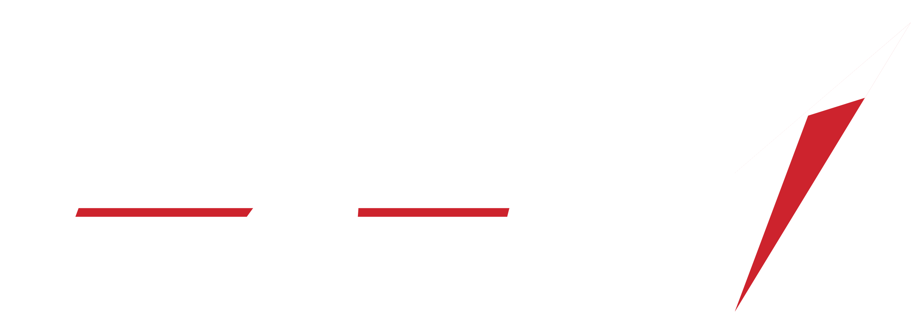 White Logo