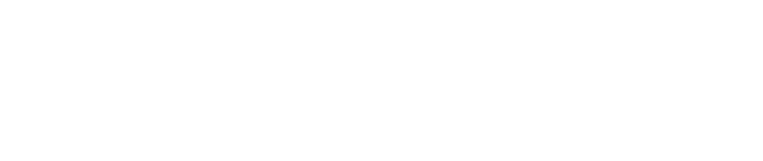White Logo