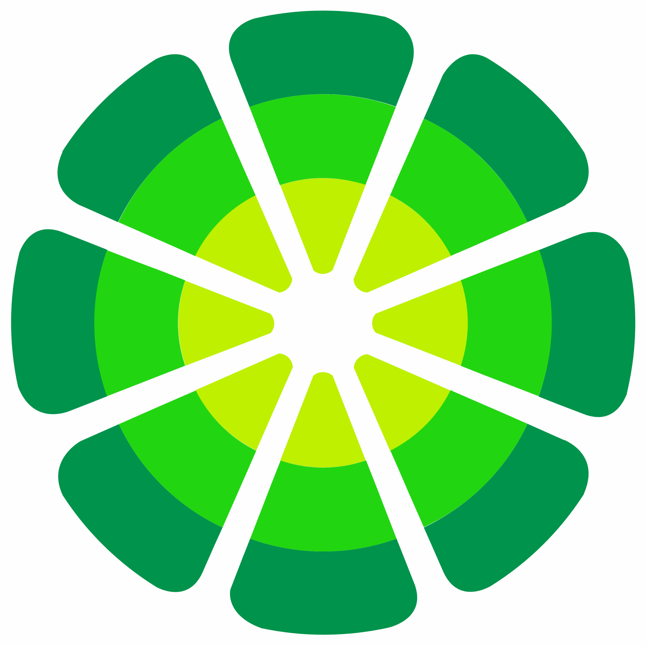 Icon Logo