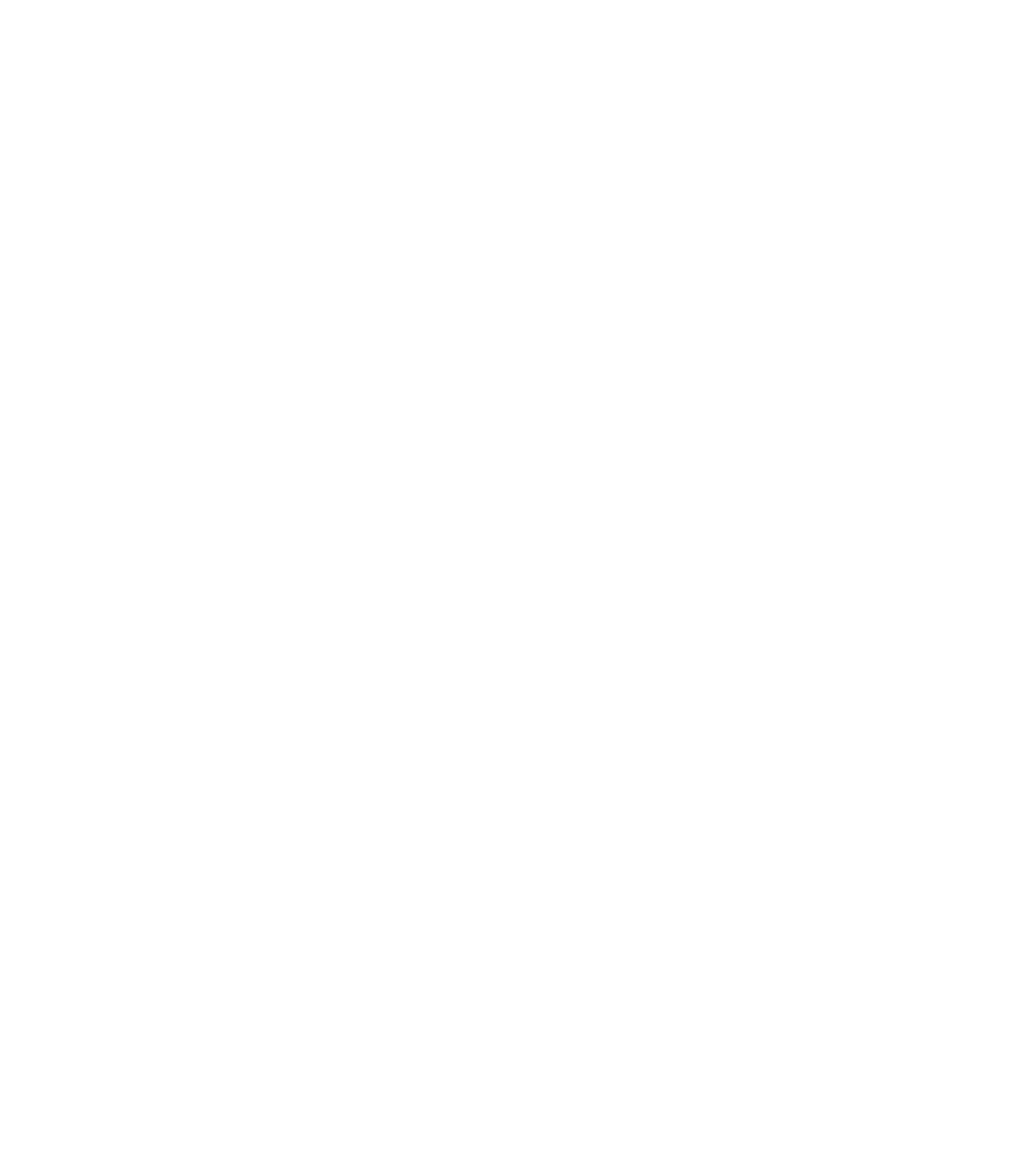 White Icon Logo