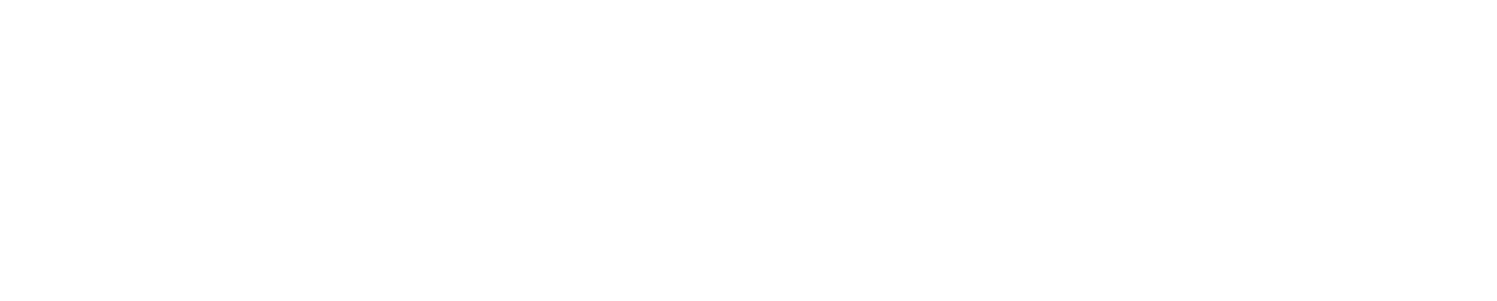 White Logo