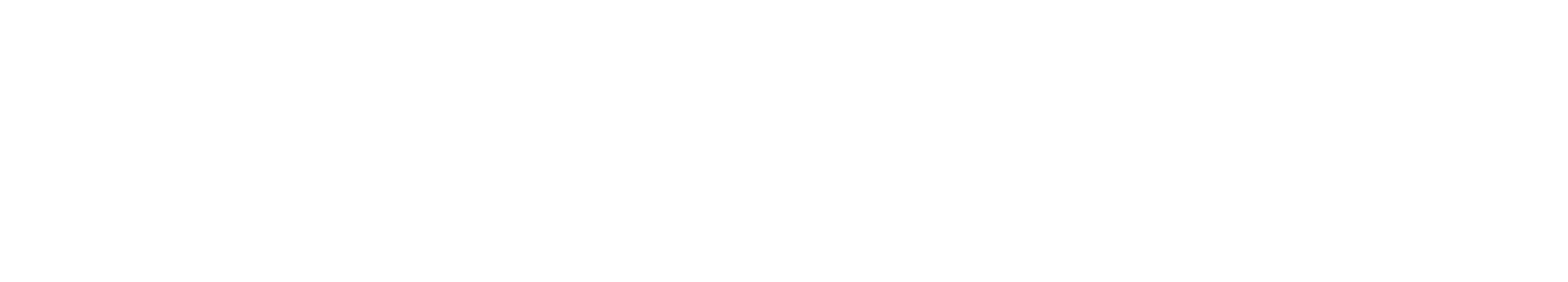 White Logo