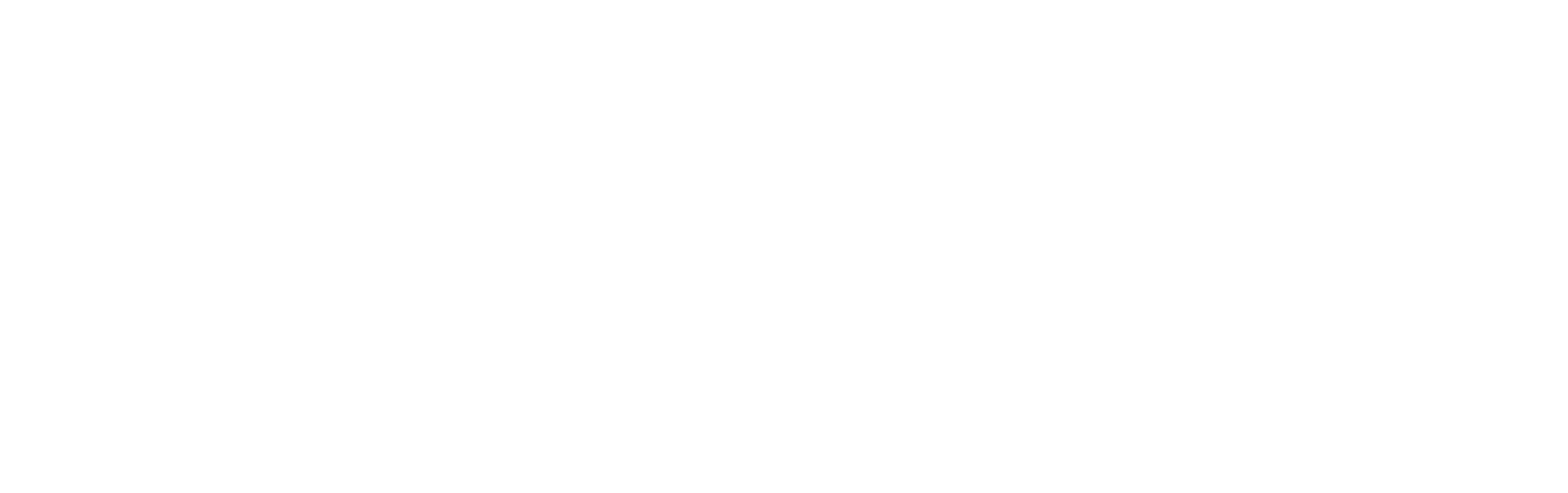 White Logo