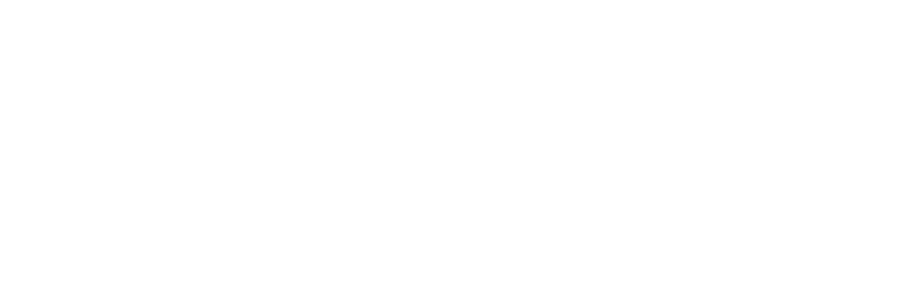 White Logo