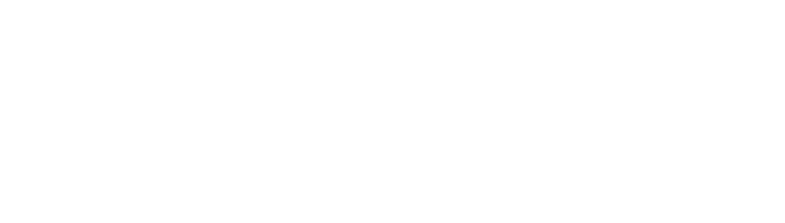 White Logo