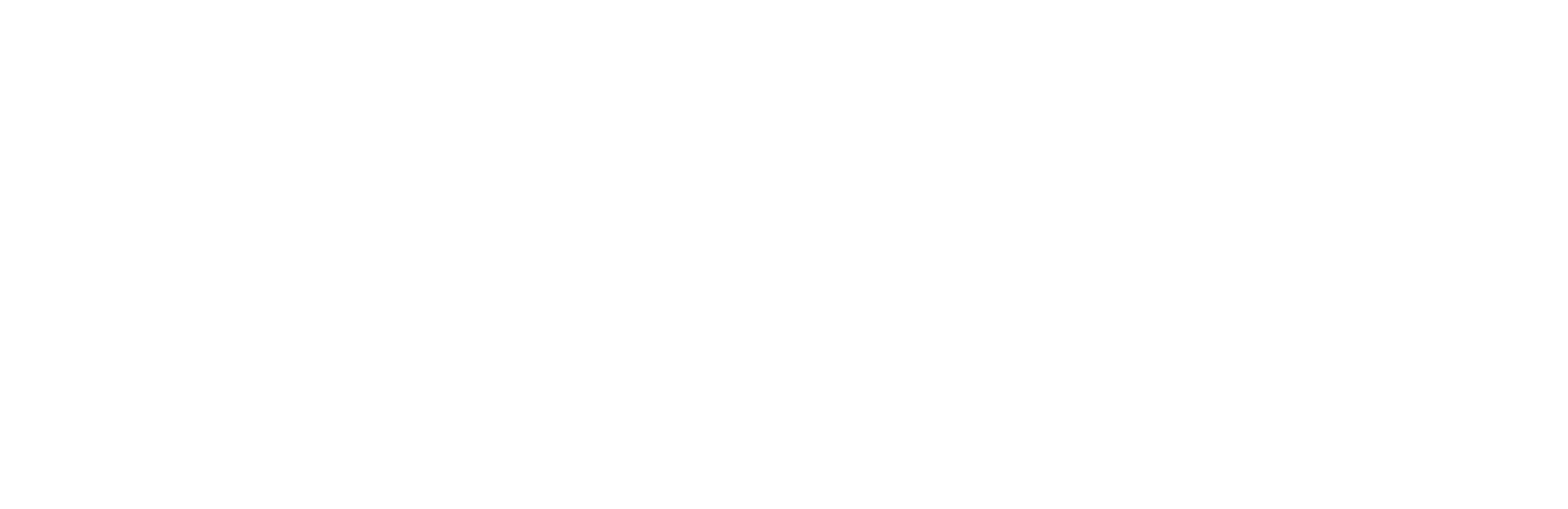 White Logo
