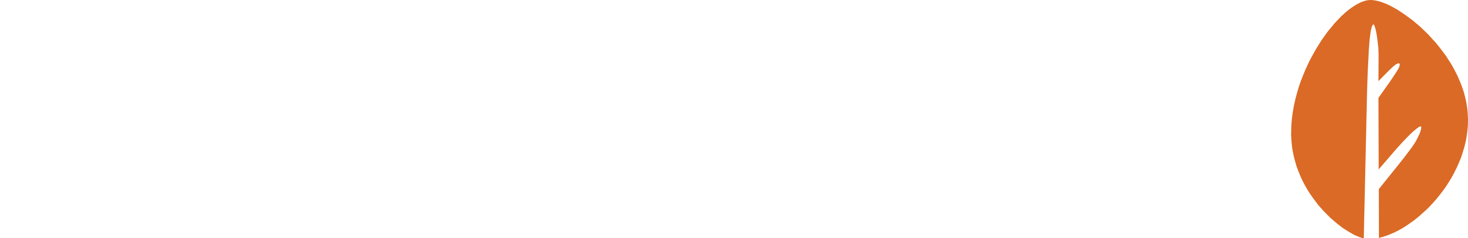 White Logo
