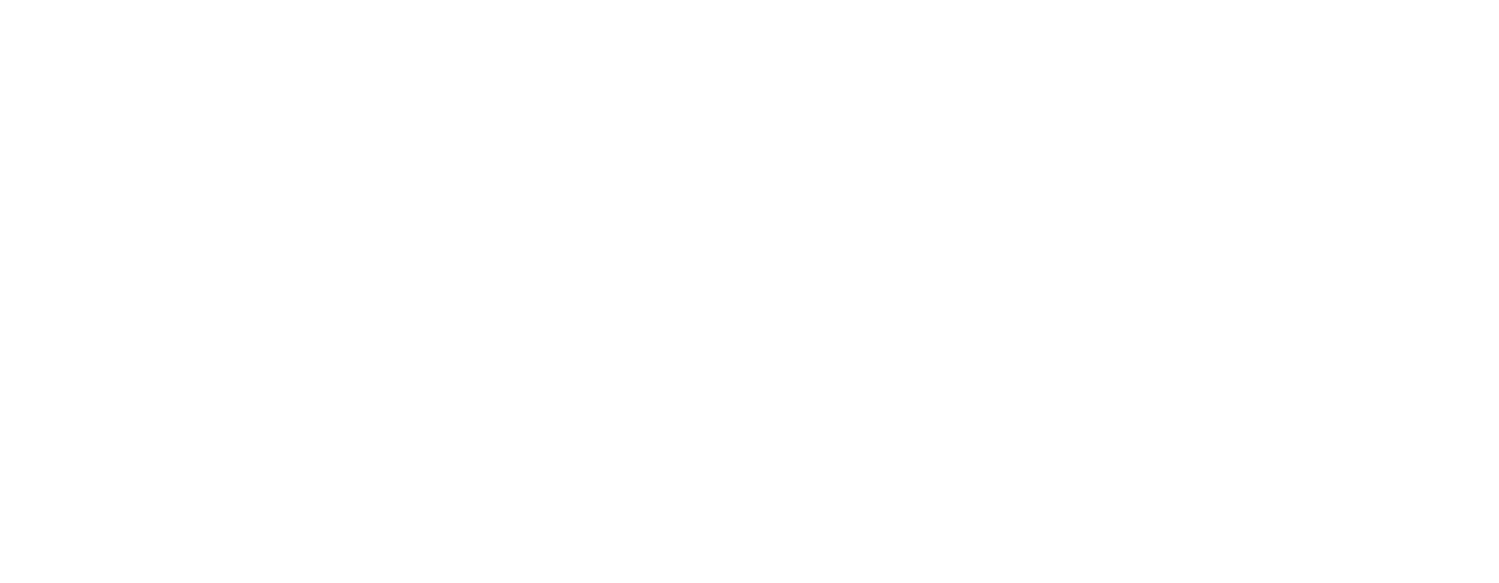 White Logo