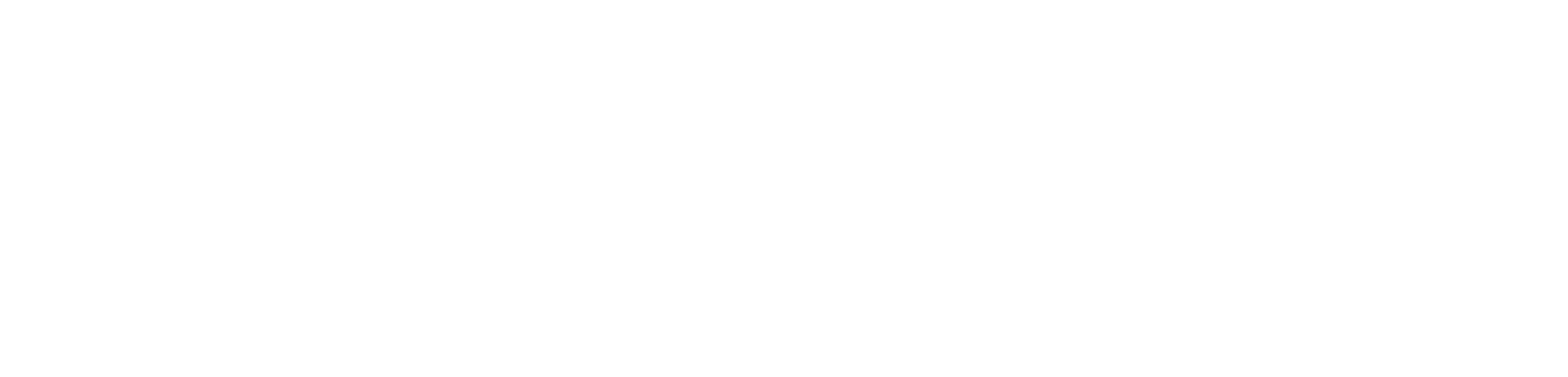 White Logo