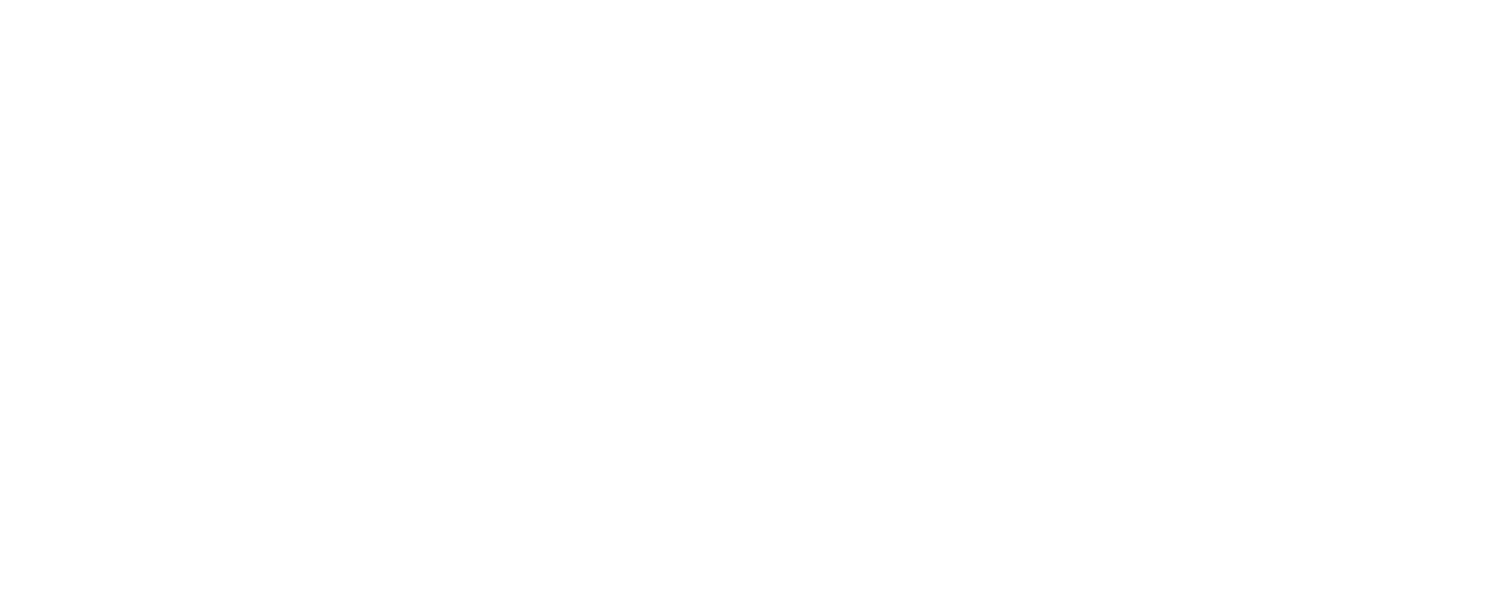 White Logo