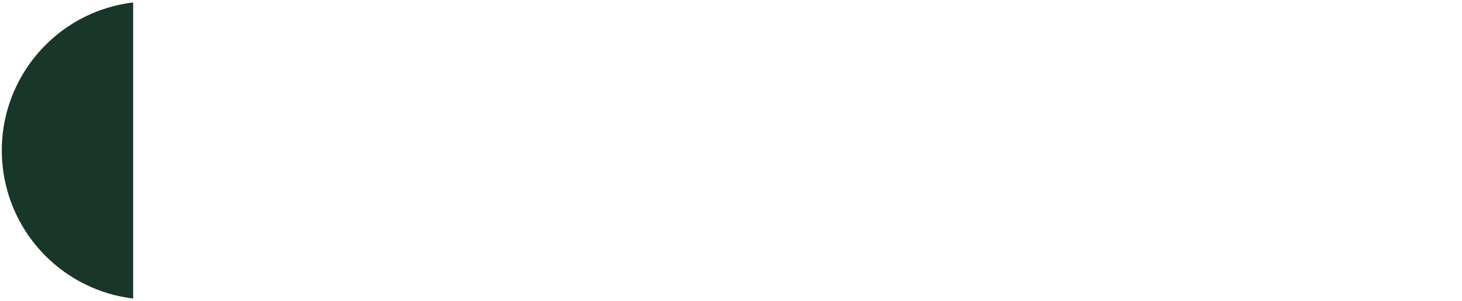 White Logo