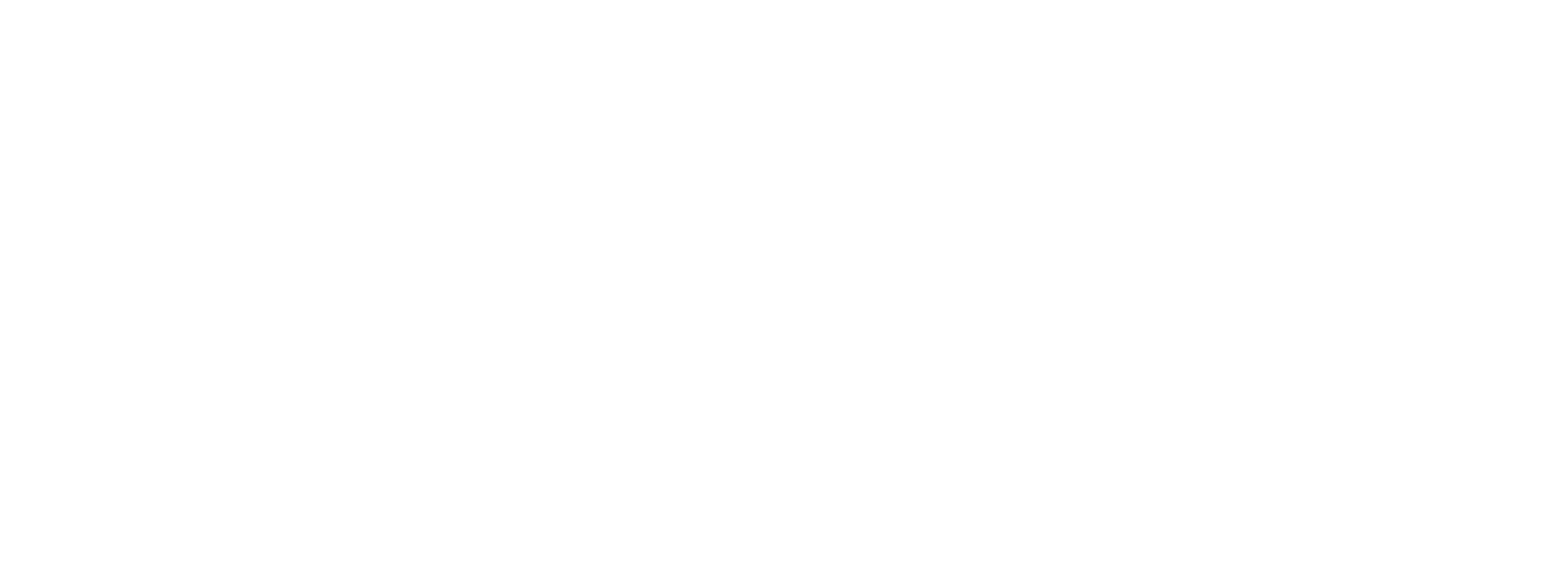 White Logo