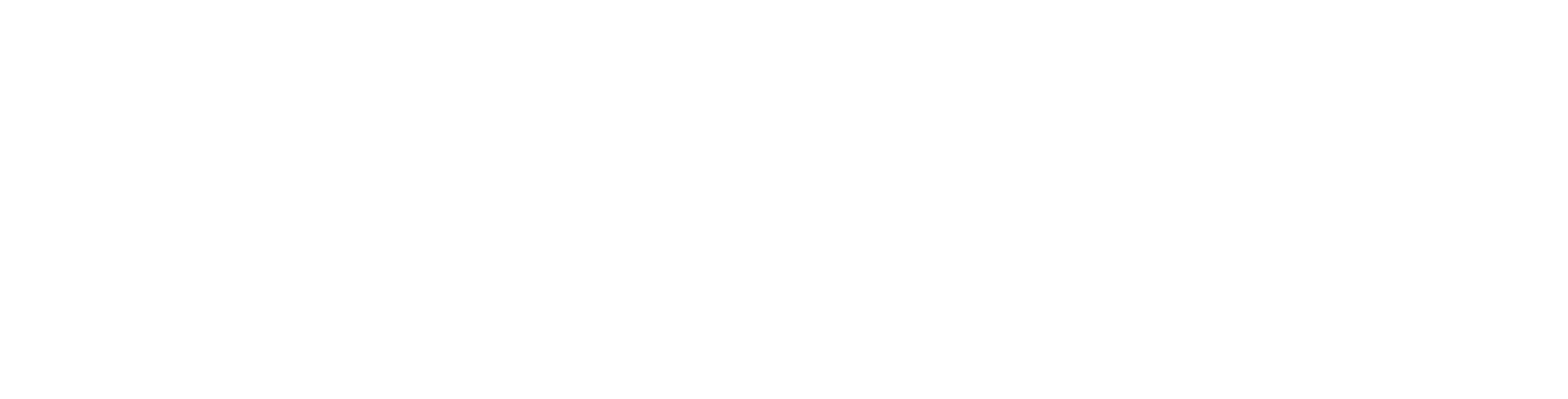 White Logo