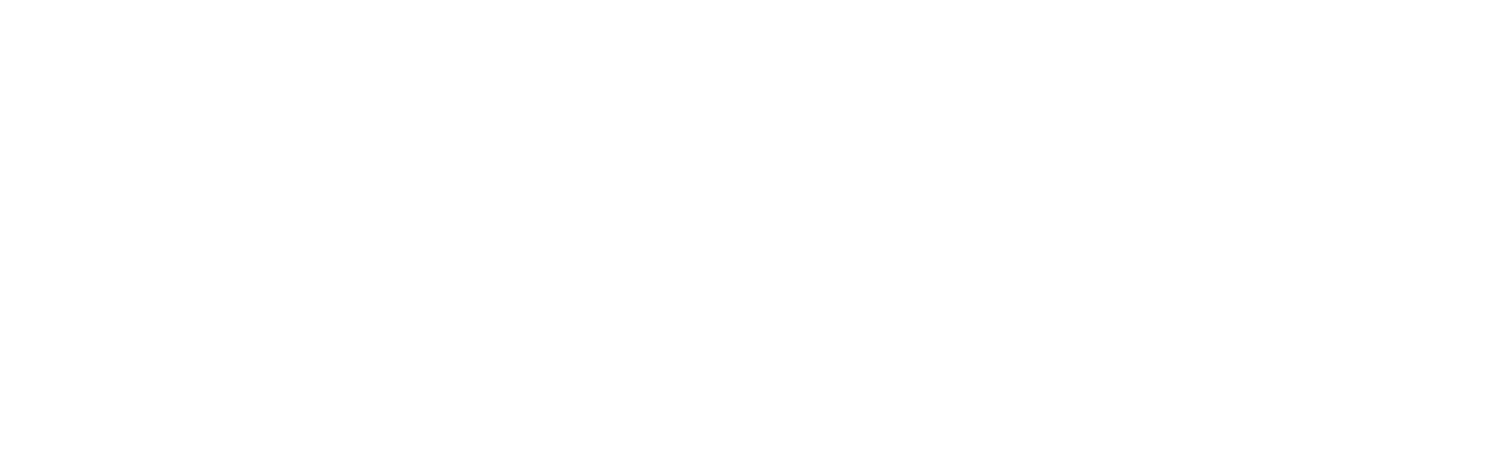 White Logo