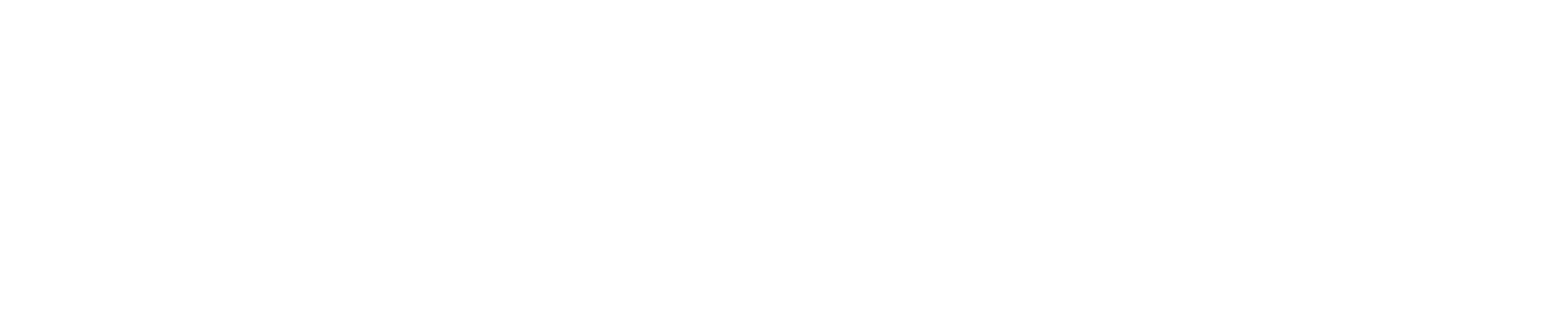 White Logo
